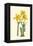 Yellow Narcissus I-Van Houtt-Framed Stretched Canvas