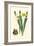 Yellow Narcissus II-Van Houtt-Framed Premium Giclee Print