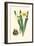 Yellow Narcissus II-Van Houtt-Framed Premium Giclee Print