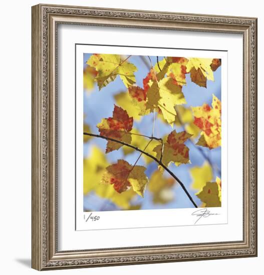 Yellow Oak Leaves-Ken Bremer-Framed Limited Edition