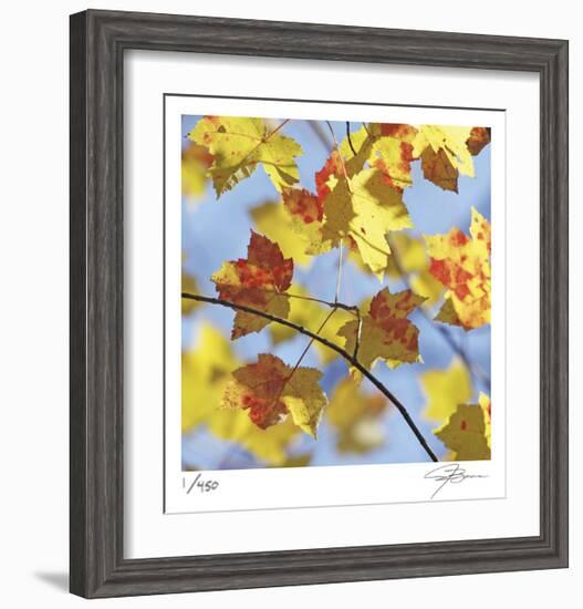 Yellow Oak Leaves-Ken Bremer-Framed Limited Edition