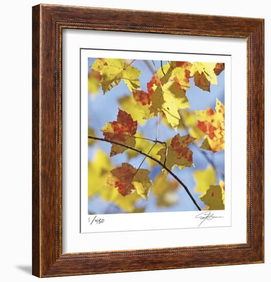 Yellow Oak Leaves-Ken Bremer-Framed Limited Edition