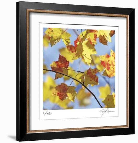 Yellow Oak Leaves-Ken Bremer-Framed Limited Edition