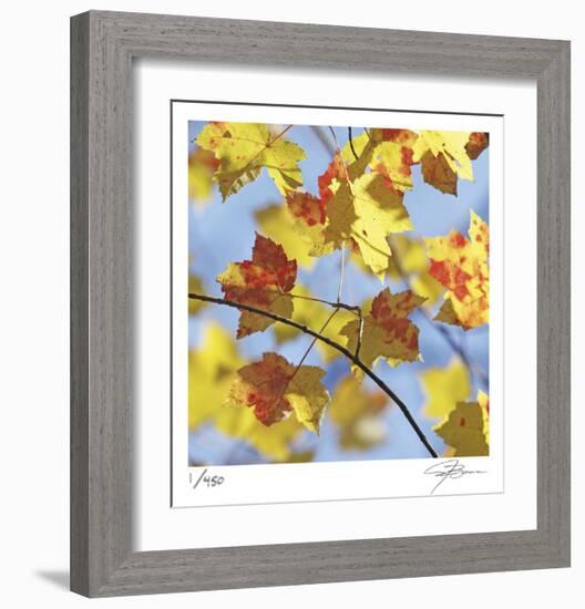 Yellow Oak Leaves-Ken Bremer-Framed Limited Edition