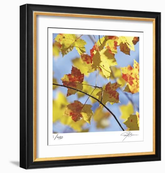 Yellow Oak Leaves-Ken Bremer-Framed Limited Edition