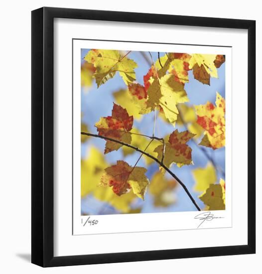 Yellow Oak Leaves-Ken Bremer-Framed Limited Edition