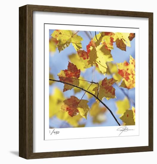 Yellow Oak Leaves-Ken Bremer-Framed Limited Edition