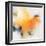 Yellow on Yellow-Karen Hale-Framed Premium Giclee Print