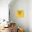 Yellow Owl Mesh-Lisa Kroll-Premium Giclee Print displayed on a wall