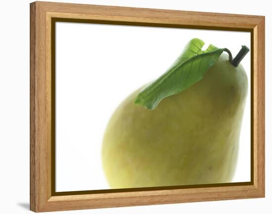 Yellow Pear-null-Framed Premier Image Canvas