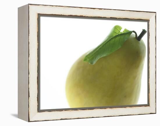 Yellow Pear-null-Framed Premier Image Canvas