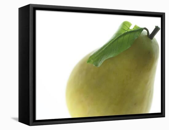 Yellow Pear-null-Framed Premier Image Canvas