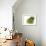 Yellow Pear-null-Framed Photographic Print displayed on a wall