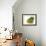 Yellow Pear-null-Framed Photographic Print displayed on a wall