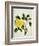 Yellow Peony, c.1800-1840-null-Framed Giclee Print