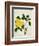 Yellow Peony, c.1800-1840-null-Framed Giclee Print