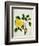 Yellow Peony, c.1800-1840-null-Framed Giclee Print