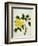 Yellow Peony, c.1800-1840-null-Framed Giclee Print