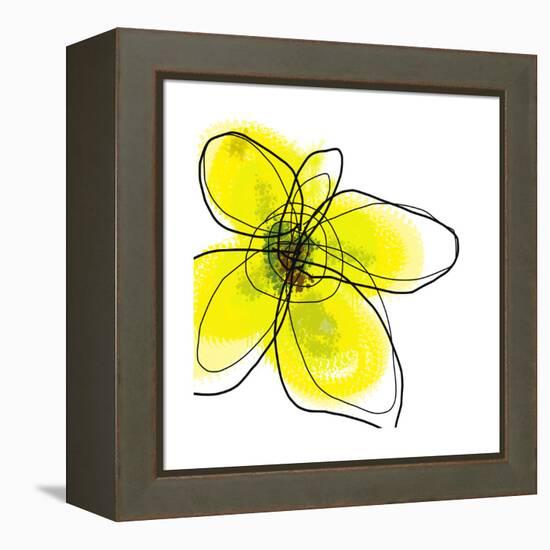 Yellow Petals 1-Jan Weiss-Framed Stretched Canvas