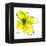 Yellow Petals 1-Jan Weiss-Framed Stretched Canvas