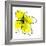 Yellow Petals 1-Jan Weiss-Framed Premium Giclee Print