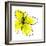 Yellow Petals 1-Jan Weiss-Framed Premium Giclee Print