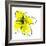 Yellow Petals 1-Jan Weiss-Framed Premium Giclee Print