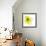 Yellow Petals 1-Jan Weiss-Framed Premium Giclee Print displayed on a wall