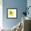 Yellow Petals 1-Jan Weiss-Framed Premium Giclee Print displayed on a wall