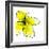 Yellow Petals 1-Jan Weiss-Framed Premium Giclee Print