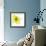 Yellow Petals 1-Jan Weiss-Framed Premium Giclee Print displayed on a wall