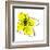 Yellow Petals 1-Jan Weiss-Framed Art Print