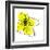 Yellow Petals 1-Jan Weiss-Framed Art Print