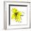 Yellow Petals 1-Jan Weiss-Framed Art Print