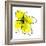 Yellow Petals 1-Jan Weiss-Framed Art Print