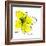 Yellow Petals 1-Jan Weiss-Framed Art Print