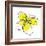 Yellow Petals 2-Jan Weiss-Framed Art Print