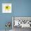 Yellow Petals 3-Jan Weiss-Framed Art Print displayed on a wall