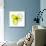 Yellow Petals 4-Jan Weiss-Mounted Art Print displayed on a wall