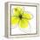 Yellow Petals Four-Jan Weiss-Framed Stretched Canvas