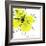 Yellow Petals Four-Jan Weiss-Framed Art Print