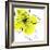 Yellow Petals Four-Jan Weiss-Framed Art Print