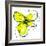 Yellow Petals One-Jan Weiss-Framed Premium Giclee Print