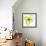 Yellow Petals One-Jan Weiss-Framed Art Print displayed on a wall