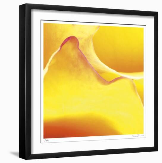 Yellow Pink Rose Abstract No 19-Shams Rasheed-Framed Giclee Print