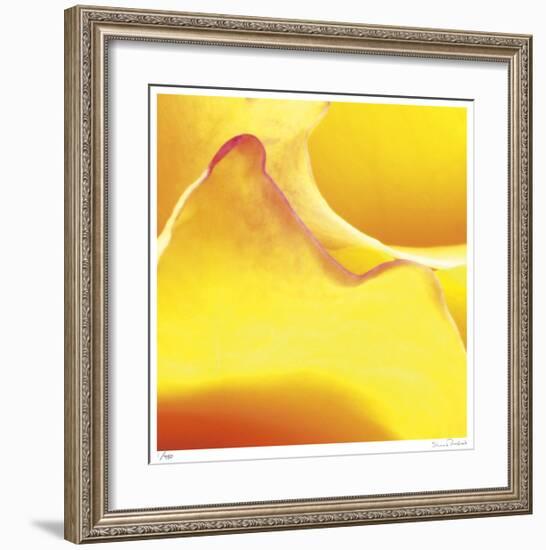 Yellow Pink Rose Abstract No 19-Shams Rasheed-Framed Giclee Print