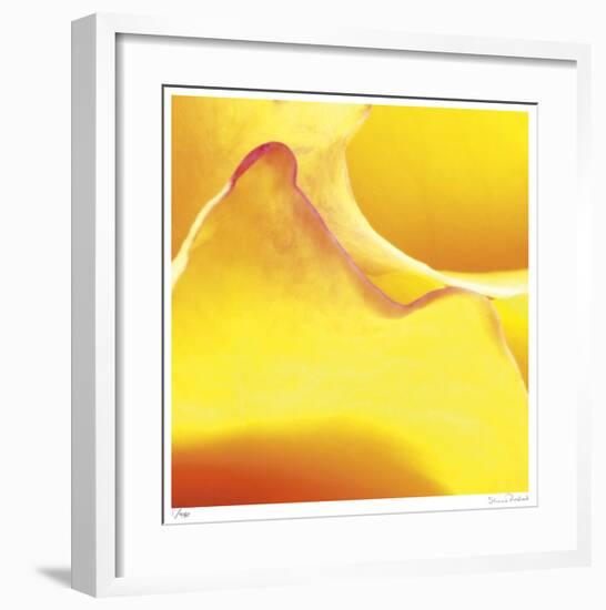 Yellow Pink Rose Abstract No 19-Shams Rasheed-Framed Giclee Print