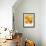 Yellow Poppies-Cherie Roe Dirksen-Framed Giclee Print displayed on a wall