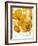 Yellow Poppies-Cherie Roe Dirksen-Framed Giclee Print