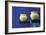 Yellow Pots, Blue Wall-Douglas Steakley-Framed Giclee Print